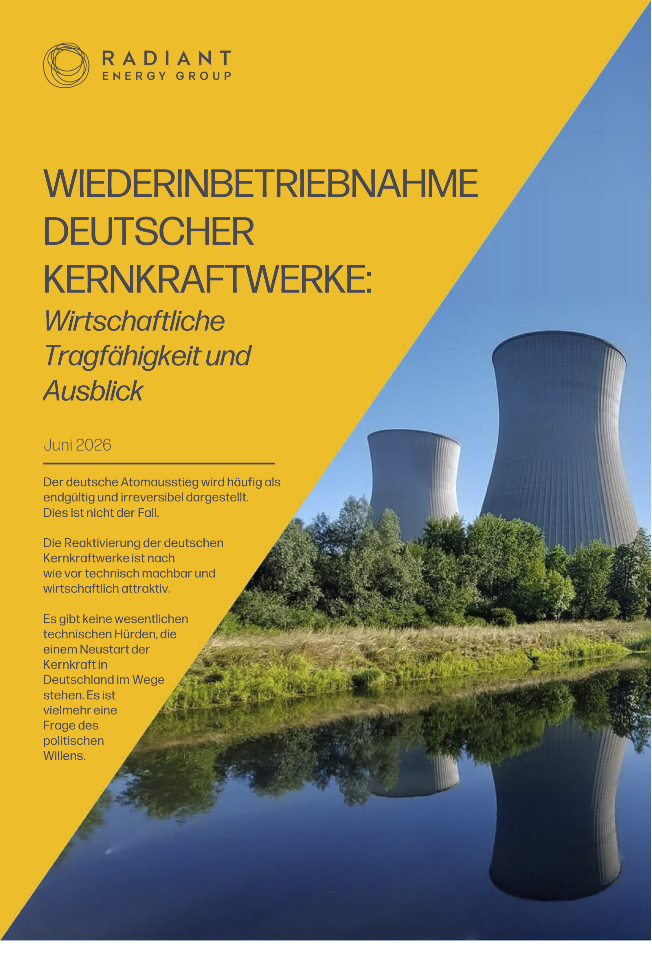 Cover: Radiant Energy Group Bericht (PDF)