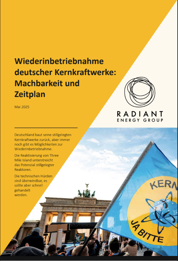Cover: Radiant Energy Group Bericht (PDF)